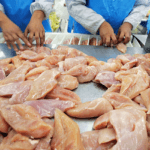Frozen Chicken